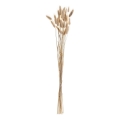 Eglo - kuivakukka 60 cm beige