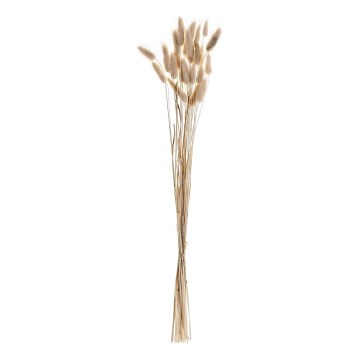 Eglo - kuivakukka 60 cm beige