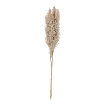 Eglo - kuivakukka 85 cm beige