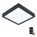 Eglo - LED Himmennettävä kylpyhuoneen valo LED/16,5W/230V IP44 ZigBee