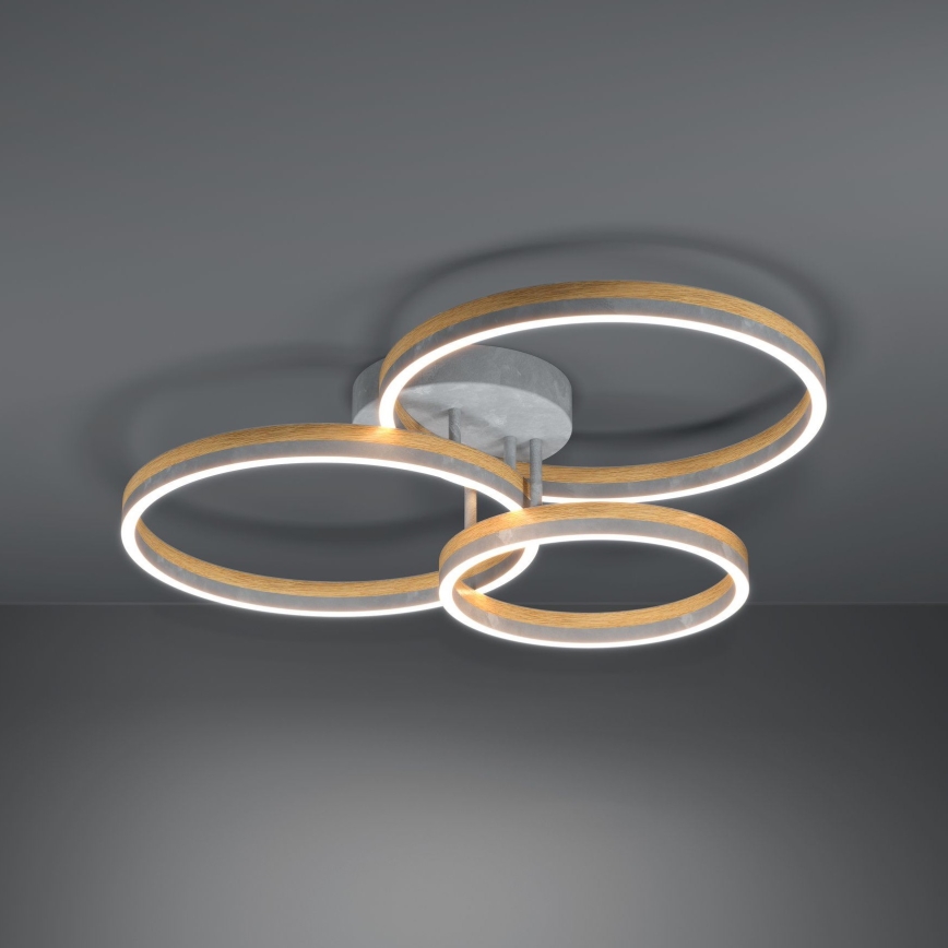 Eglo - LED-himmennyskattokruunu LED/12,5W/230V + 2xLED/15,5W 3000K harmaa/tammi