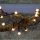 Eglo - LED-jouluketju ulkokäyttöön 300xLED/8 toimintoa 11m IP44 lämmin valkoinen