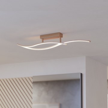 Eglo - LED-kattovalaisin LED/12W/230V 4000K beige