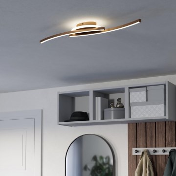 Eglo - LED-kattovalaisin LED/12W/230V 4000K kupari