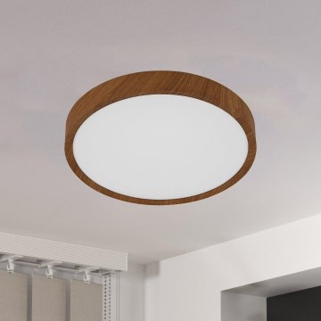 Eglo - LED Kattovalaisin LED/14,6W/230V