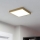 Eglo - LED-kattovalaisin LED/20,5W/230V