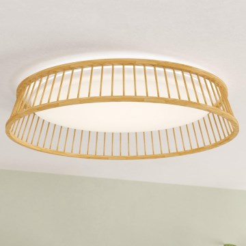 Eglo - LED-kattovalaisin LED/20W/230V ruskea
