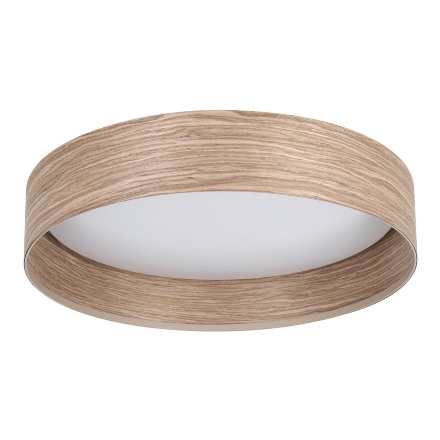 Eglo - LED-kattovalaisin LED/24W/230V