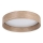 Eglo - LED-kattovalaisin LED/24W/230V