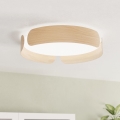 Eglo - LED-kattovalaisin LED/24W/230V