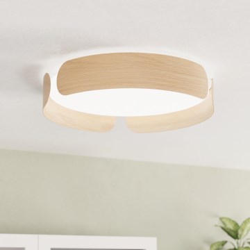 Eglo - LED-kattovalaisin LED/24W/230V