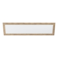 Eglo - LED-kattovalaisin LED/32W/230V 345x1245 mm