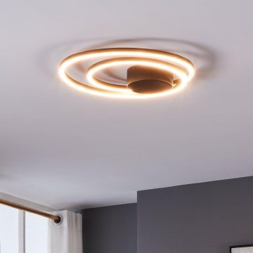 Eglo - LED-kattovalaisin LED/36W/230V