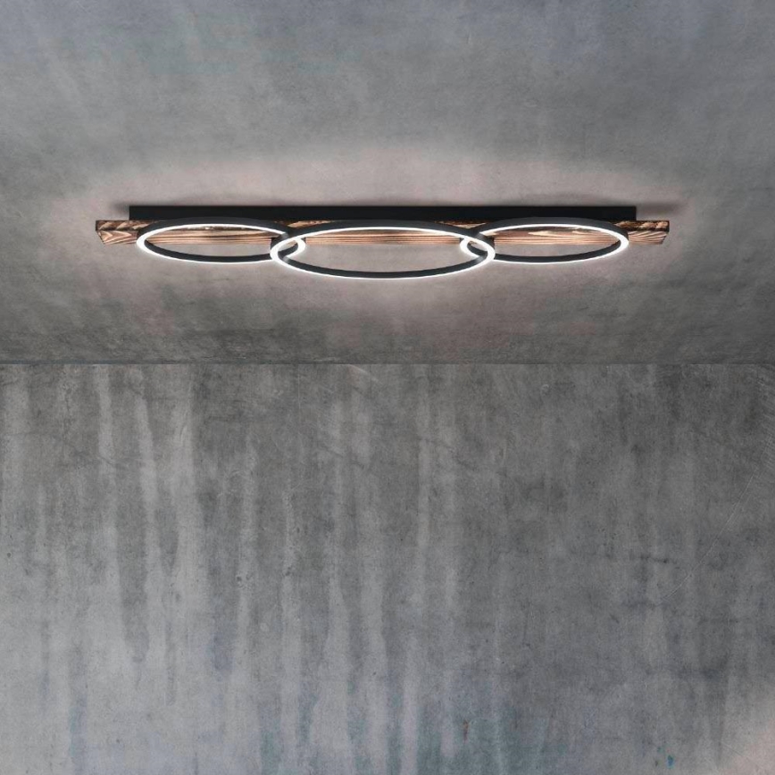 Eglo - LED Kattovalo BOYAL 2xLED/12W/230V + LED/12W
