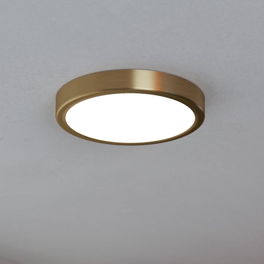 Eglo - LED-kattovalo LED/17W/230V d. 21 cm