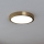 Eglo - LED-kattovalo LED/17W/230V d. 21 cm