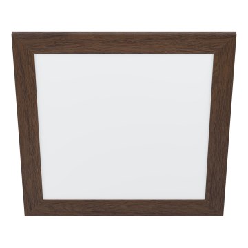 Eglo - LED-kattovalo LED/20W/230V 500x500 mm