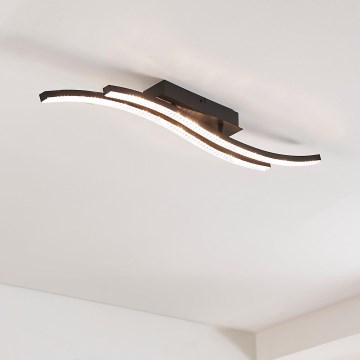 Eglo - LED-kattovalo LED/21,5W/230V