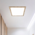 Eglo - LED-kattovalo LED/32W/230V 645x645 mm