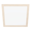 Eglo - LED-kattovalo LED/32W/230V 645x645 mm