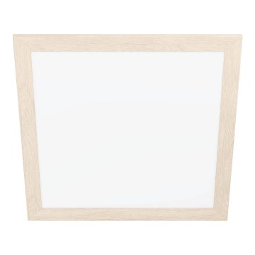 Eglo - LED-kattovalo LED/32W/230V 645x645 mm