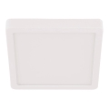 Eglo - LED Kylpyhuoneen kattovalo LED/20,5W/230V IP44 valkoinen
