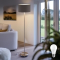 Eglo - LED  Lattialamppu TUNJA 1xE27/60W/230V mattakromi/ruskea