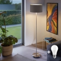 Eglo - LED  Lattialamppu TUNJA 1xE27/60W/230V mattakromi/taupe