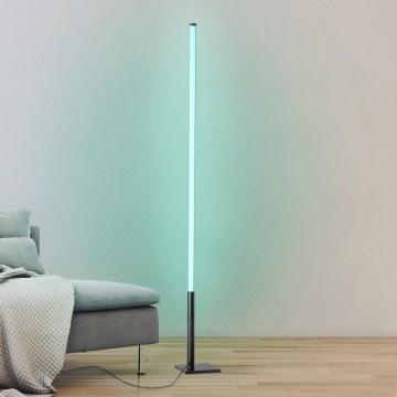 Eglo - LED RGB Himmennettävä lattialamppu LED/13,5W/230V 2700-6500K + kaukosäädin