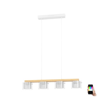 Eglo - LED RGBW Himmennettävä kattokruunu johdossa 4xLED/3,7W/230V 2700-6500K