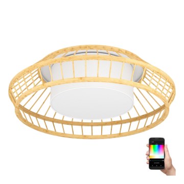 Eglo - LED RGBW Himmennettävä kattovalo LED/22W/230V 2700-6500K