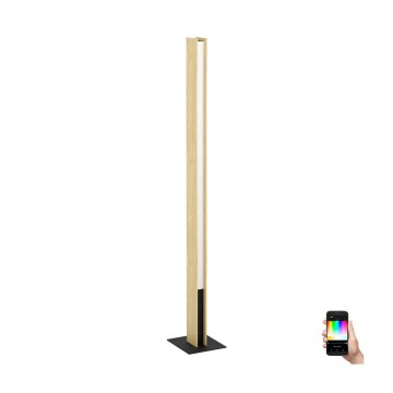 Eglo - LED RGBW Himmennettävä lattiavalaisin LED/35W/230V 2700-6500K