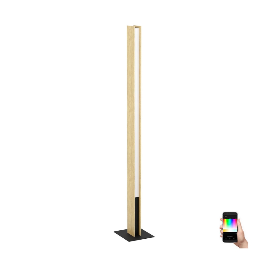 Eglo - LED RGBW Himmennettävä lattiavalaisin LED/35W/230V 2700-6500K