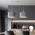 Eglo - LED Ripustettava valaisin TUNJA 2xE27/60W/230V harmaa