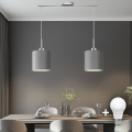 Eglo - LED Ripustettava valaisin TUNJA 2xE27/60W/230V harmaa