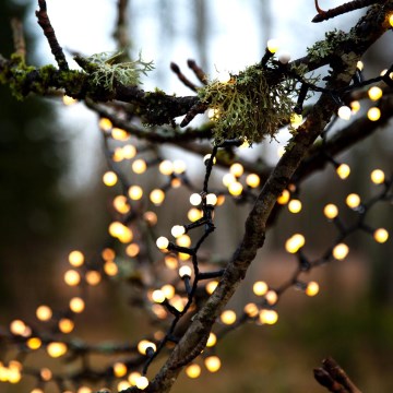 Eglo - LED-ulkojouluvalosarja 700xLED/8 toimintoa 19m IP44 lämmin valkoinen