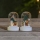Eglo - SETTI 2x LED joulukoristeet 1xLED/0,03W/1xCR2032