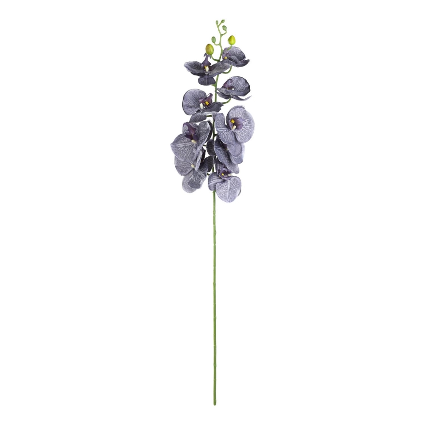 Eglo - Tekokukka 86,5 cm violetti