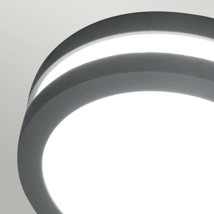 Elstead - LED-ulkoseinävalaisin ANO 1xGX53/9W/230V IP54