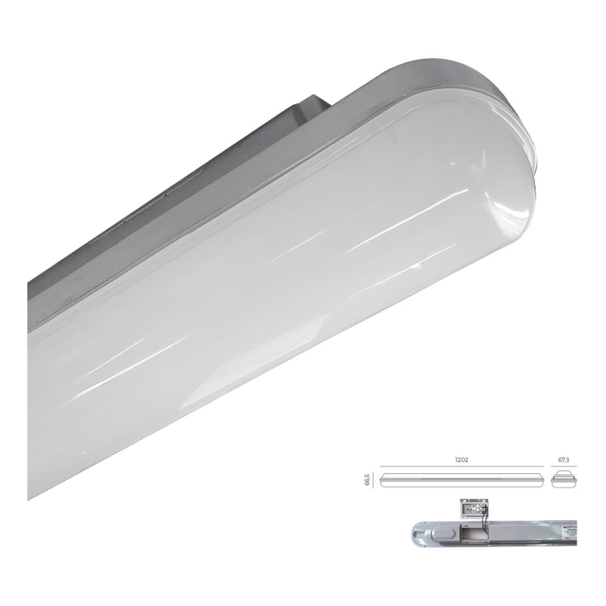 Emithor 31602 - LED-työvalo ELMINA LED/36W/230V IP65