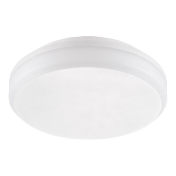 Emithor 63206 - LED-kattotyövalo SURFACE 1xLED/20W/230V IP65