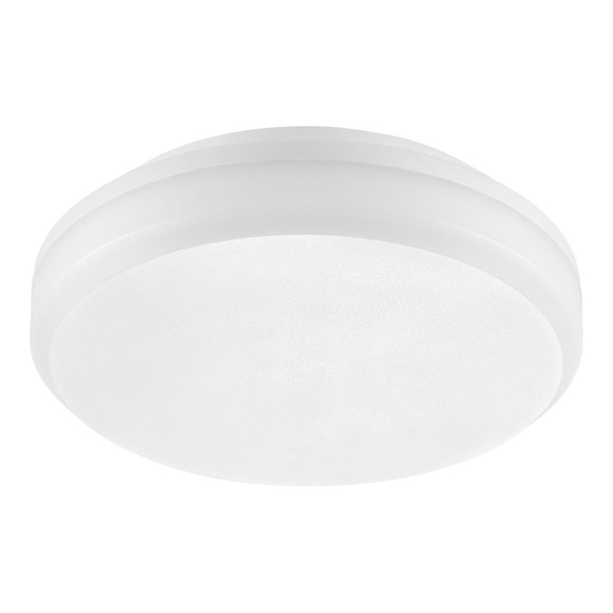 Emithor 63206 - LED-kattotyövalo SURFACE 1xLED/20W/230V IP65