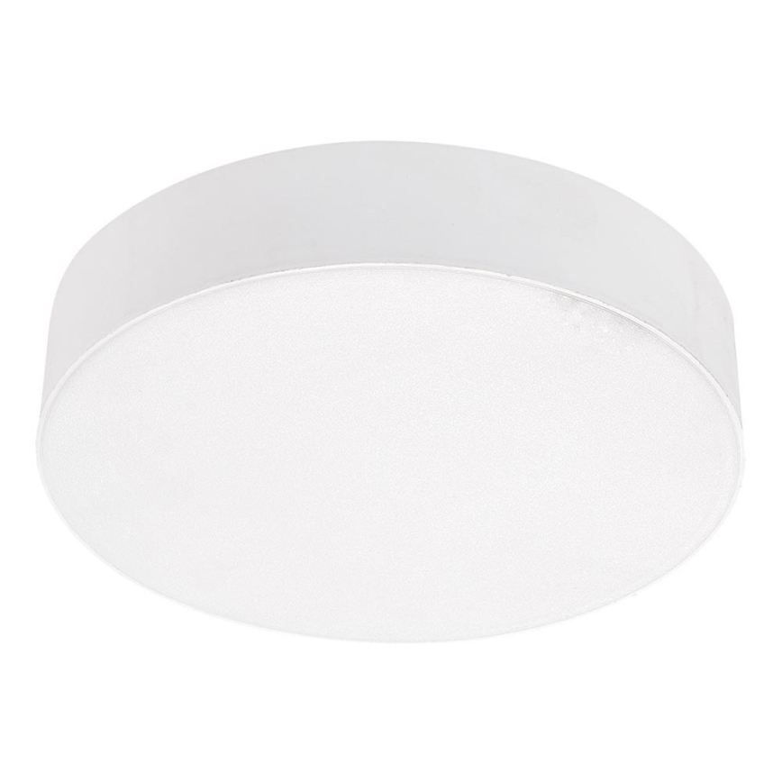 Emithor 63213 - LED-kattovalaisin SURFACE 1xLED/20W/230V