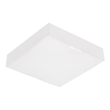 Emithor 63217 - LED-kattovalaisin SURFACE 1xLED/20W/230V