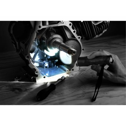 Extol - LED-taskulamppu LED/3xAAA IP54 antrasiitti