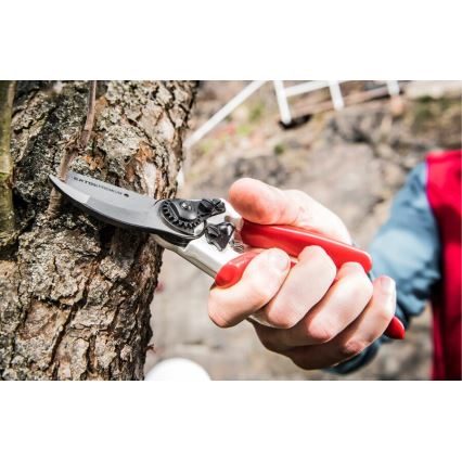 Extol Premium - Puutarhasakset 215 mm