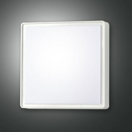 Fabas 3233-65-102 - Työvalo OBAN 2xE27/30W/230V IP65