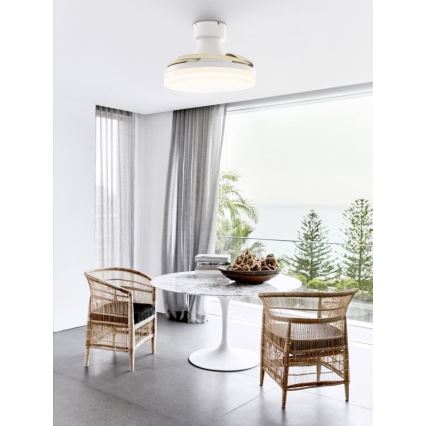 FANAWAY 210664 - LED himmennettävä kattovalo ORBIT LED/25W/230V beige/valkoinen + kauko-ohjaus