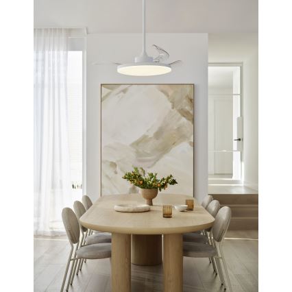 FANAWAY 21612949 - LED himmennettävä kattovalo STROLL LED/30W/230V 2700/3500/5000K halkaisija 106 cm valkoinen/läpinäkyvä + kauko-ohjaus