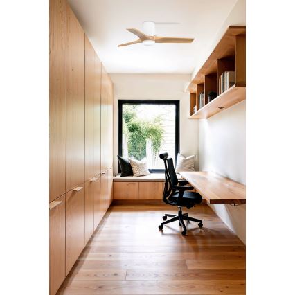 FARO 33836-1TW - LED himmennettävä kattovalo HEYWOOD TUB S LED/10W/230V 2700/4000/6000K mänty/valkoinen halkaisija 90 cm + kauko-ohjaus
